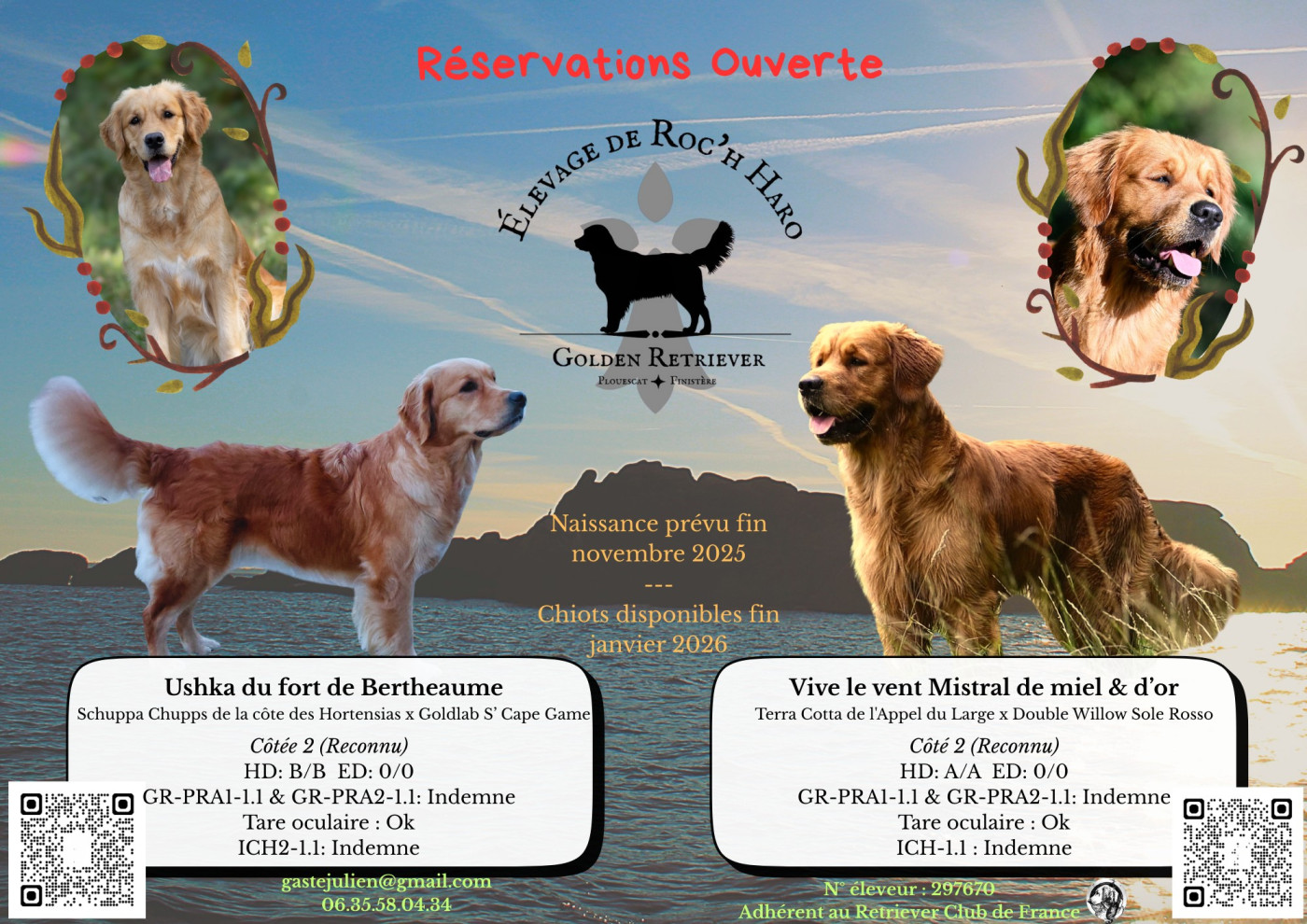 Future portée pour Ushka